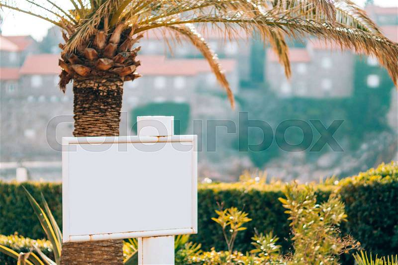 Board for writing under the palm tree. Sveti Stefan, Montenegro, the territory of the park, stock photo