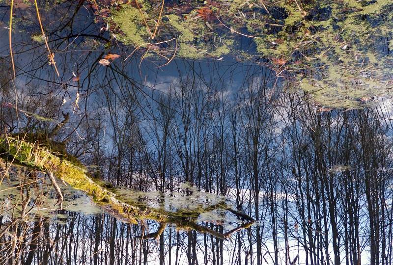Reverse (180 degree rotate) water surface with reflection of spring trees and sky, stock photo