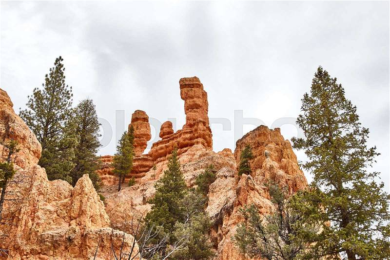 Incredibly beautiful landscape in Bryce Canyon National Park, Utah, USA, stock photo