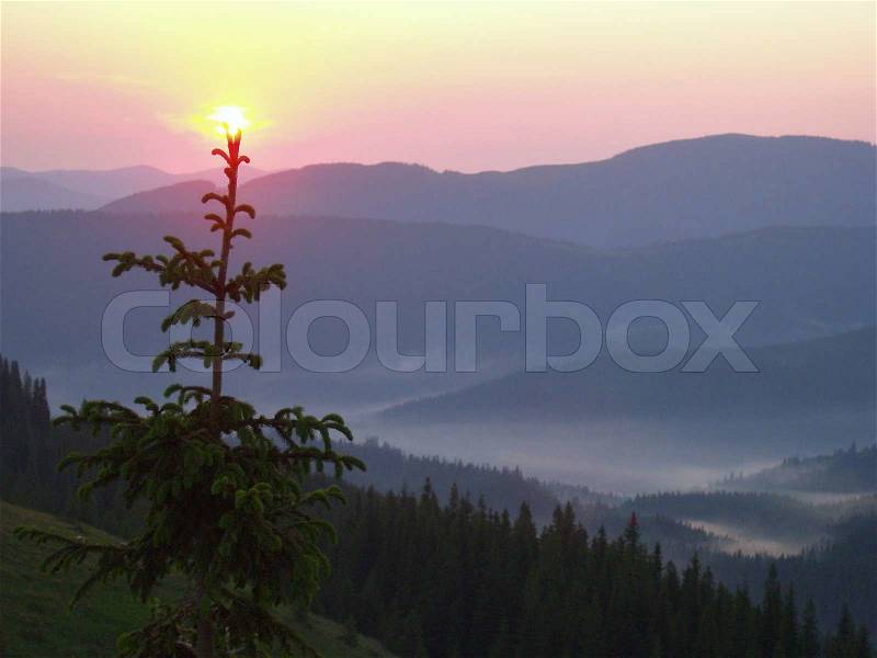 Sanrizse mountain landscape with haze on a valley, fir-tree and sun (fasten on fir\'s top), stock photo