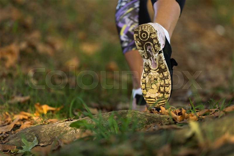 Woman feet in shoes on a forest path on sunset, stock photo