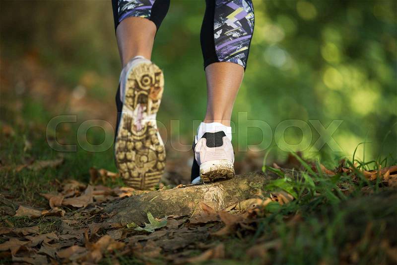 Woman feet in shoes on a forest path on sunset, stock photo