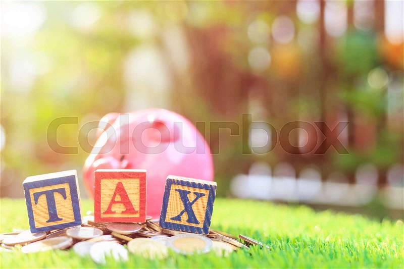 TAX write in color alphabet wood box on stack of Thai baht coin and pink piggy bank with right free space for text. For time to pay tax concept. Shot in morning with sunlight and lens flare effect, stock photo