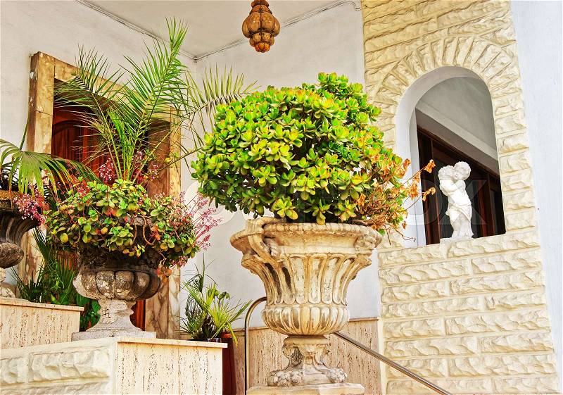 Green plants at the house stairs at Mgarr old town, Malta island, stock photo