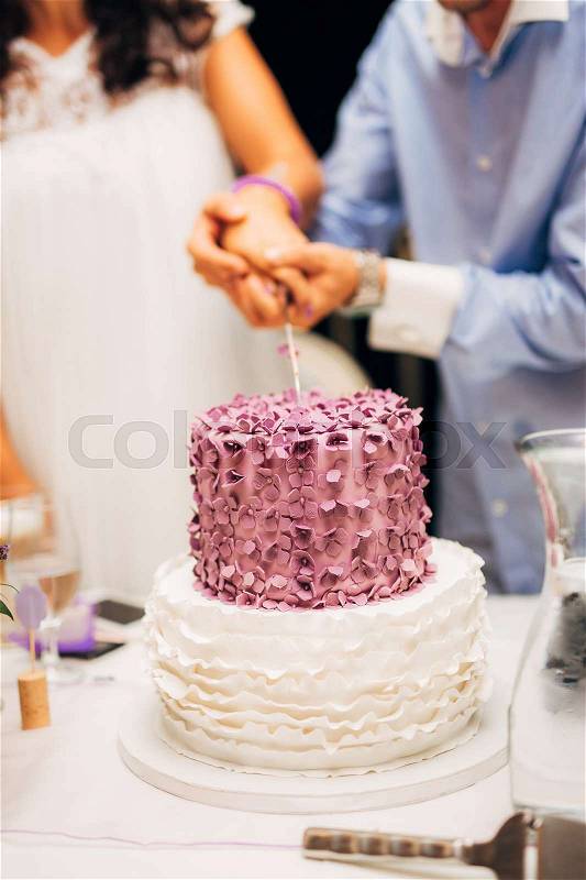 Bride and Groom at Wedding Reception Cutting the Wedding Cake, stock photo