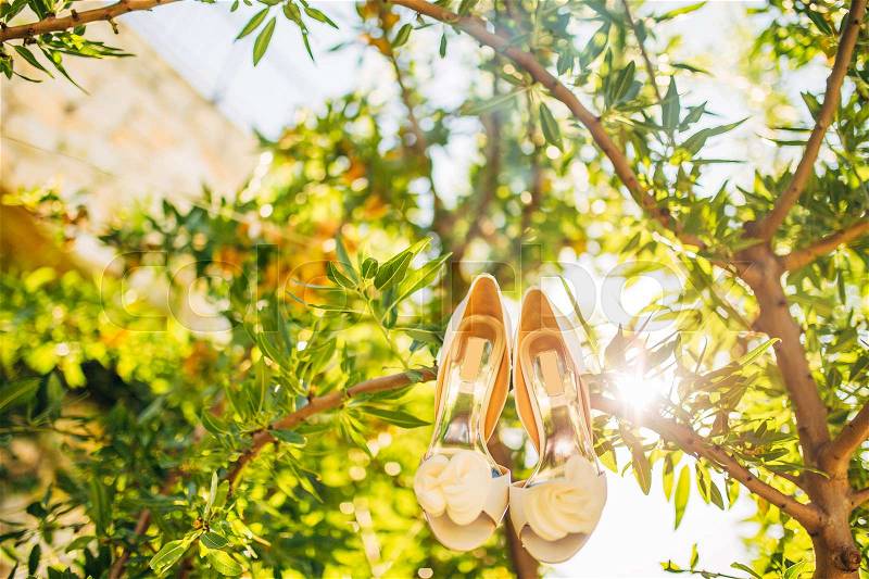 Wedding shoes of the bride hang on a branch of an olive tree, a wedding in Montenegro, stock photo