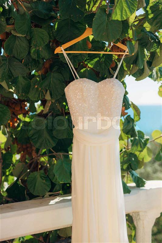The bride\'s dress on a hanger in the green in Montenegro, stock photo