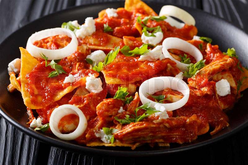 Delicious mexican food: nachos with tomato salsa, chicken and cheese close-up on a plate. horizontal , stock photo