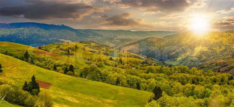 Panoramic rural landscape. forest in mountain rural area. green agricultural field on a hillside. beautiful summer scenery at sunset, stock photo