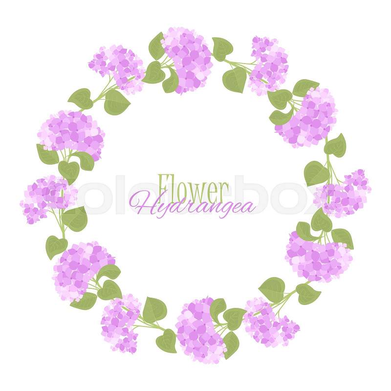 Vector illustration of flower hydrangea. Decoration of frame with flowers and leaves, vector