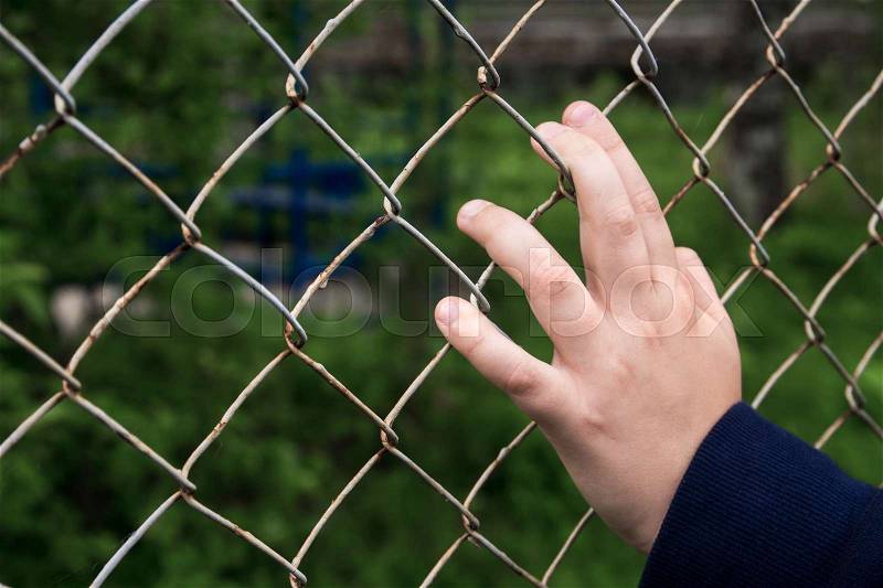 Hand with metal mesh cage. Child hands with steel mesh fence, stock photo