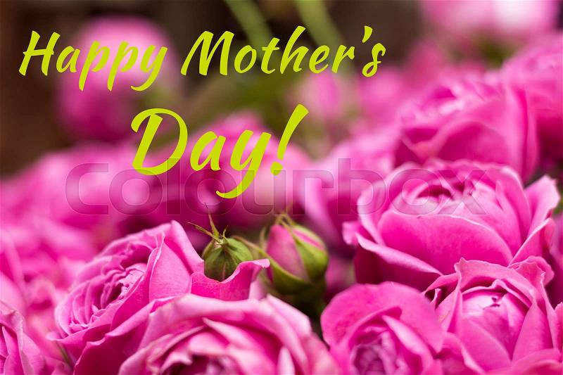 Postcard with purple roses and sign Happy Mother's Day. Bouquet of magenta roses, stock photo