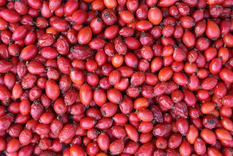 Closeup fresh red hawthorn background texture fruits, stock photo