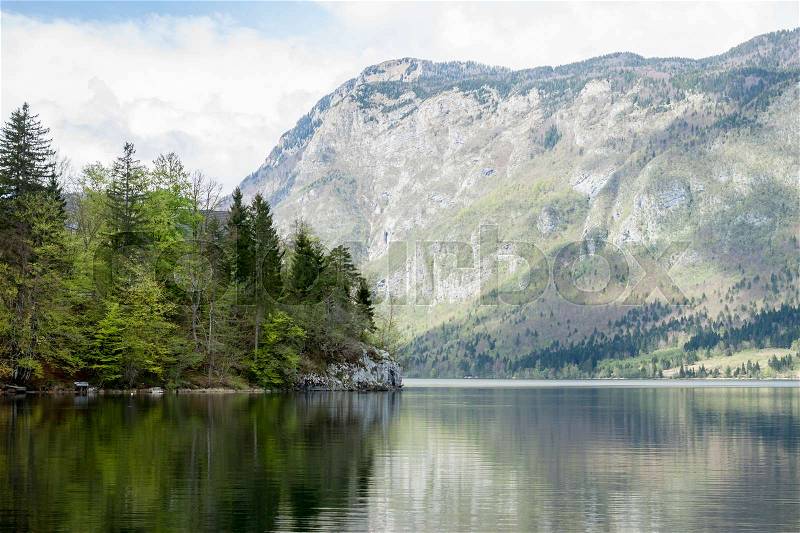 Mountain lake Bohinj with crystal clear water forest reflection, stock photo
