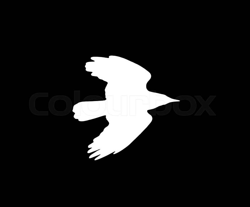 Silhouette of a white crow on a black background , stock photo