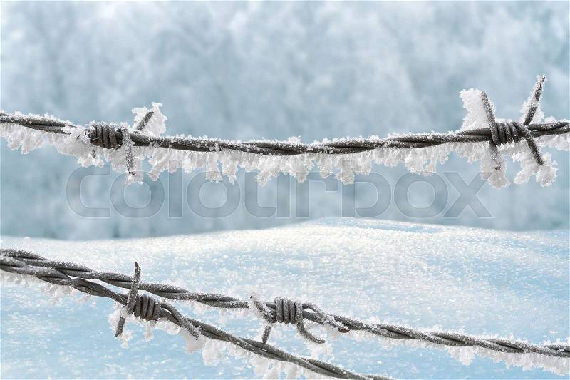 Barbed wire on the winter background with snowdrifts, stock photo