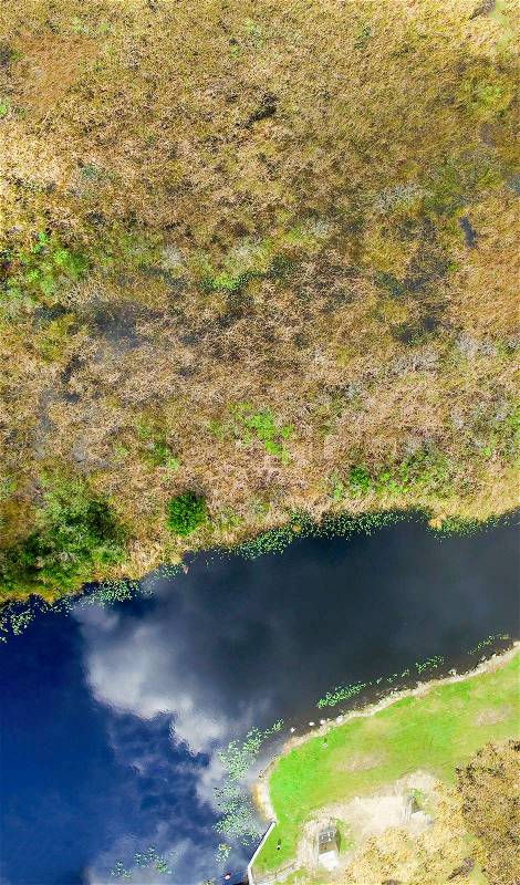 Overhead view of Florida Everglades Swamp - USA, stock photo