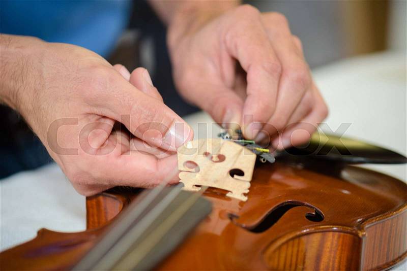 Connecting the violin bridge, stock photo