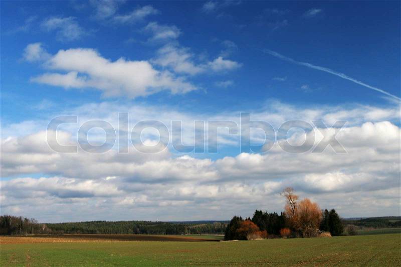 Green meadow with small forest and sky with nice clouds, stock photo