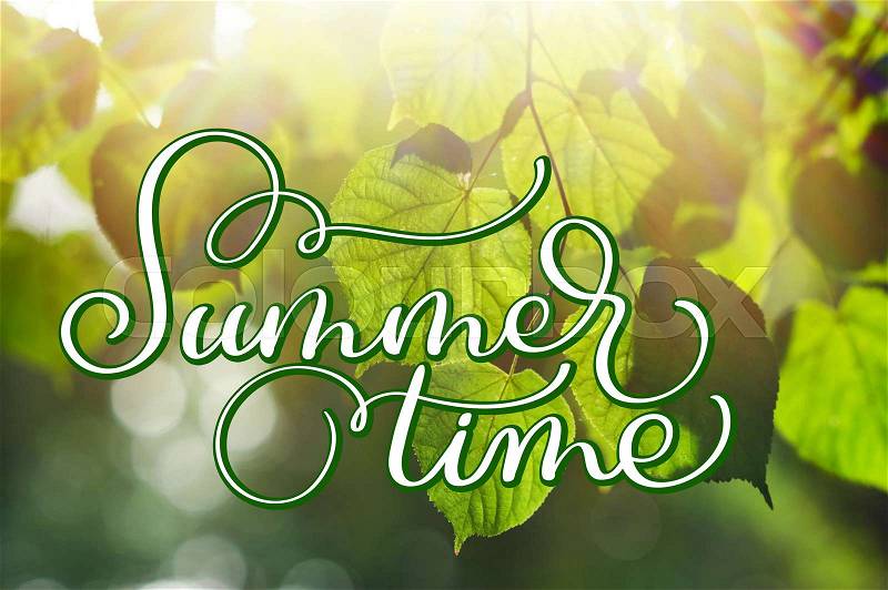 Texture green leaves in summer park with sun background and text Summer time. Calligraphy lettering hand draw, stock photo