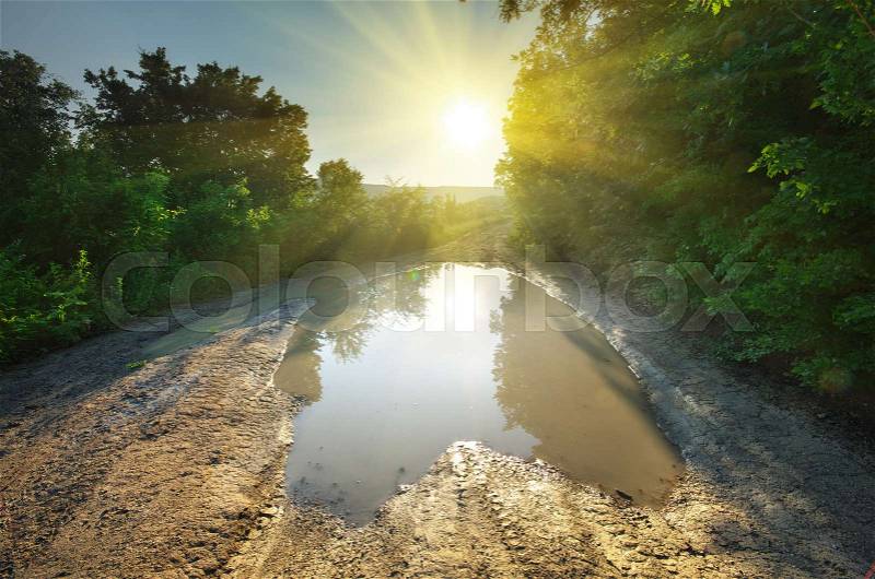 Big dirt pool on road. Nature composition, stock photo