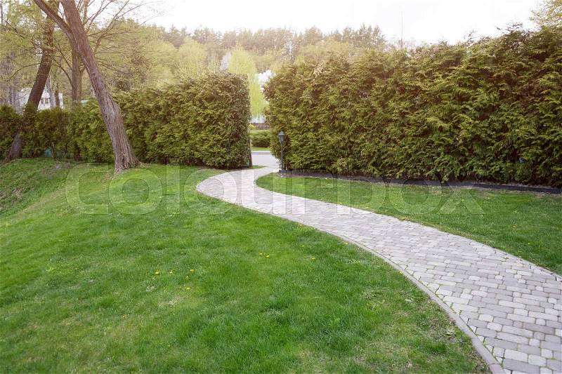 Winding path through the landscaped summer park. Green park outdoor, stock photo