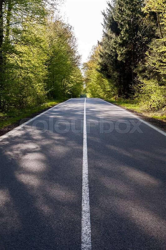 Country asphalt road with tree and sunset flare, stock photo