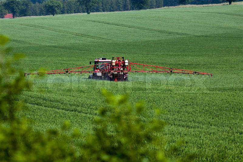 Tractor spraying pesticides on big green field with young grain, stock photo