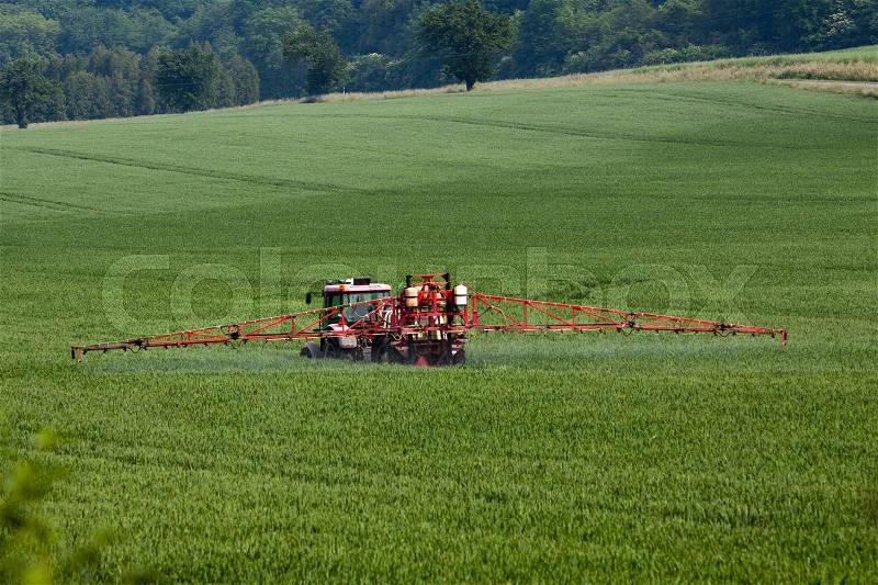 Tractor spraying pesticides on big green field with young grain, stock photo