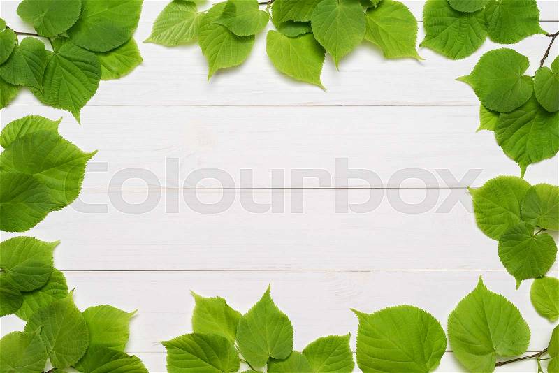 Decorative frame of green linden leaves on a white wooden background. Template for design. Flat layout, top view, stock photo