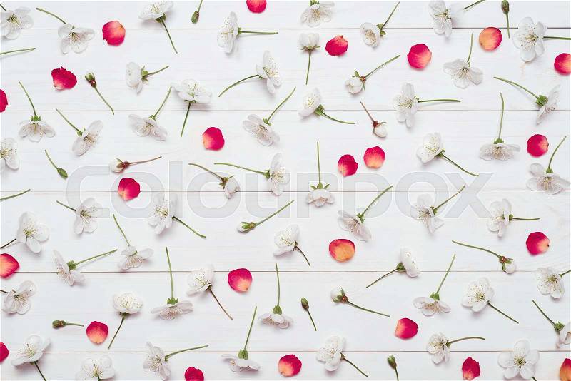 Pattern of cherry blossom flowers and red rose petals on a white wooden background. Flat layout, top view, stock photo