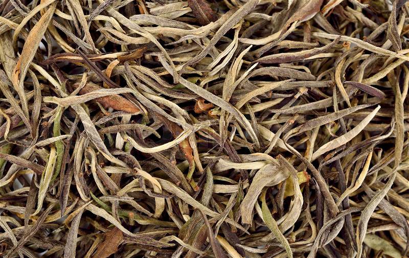 Dried white tea leaf for background texture, stock photo