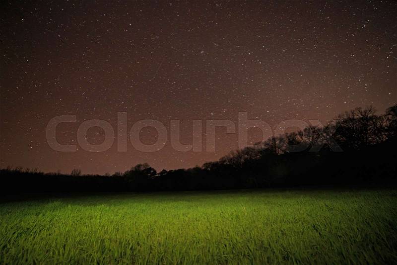 View on lawn in park at night, stock photo