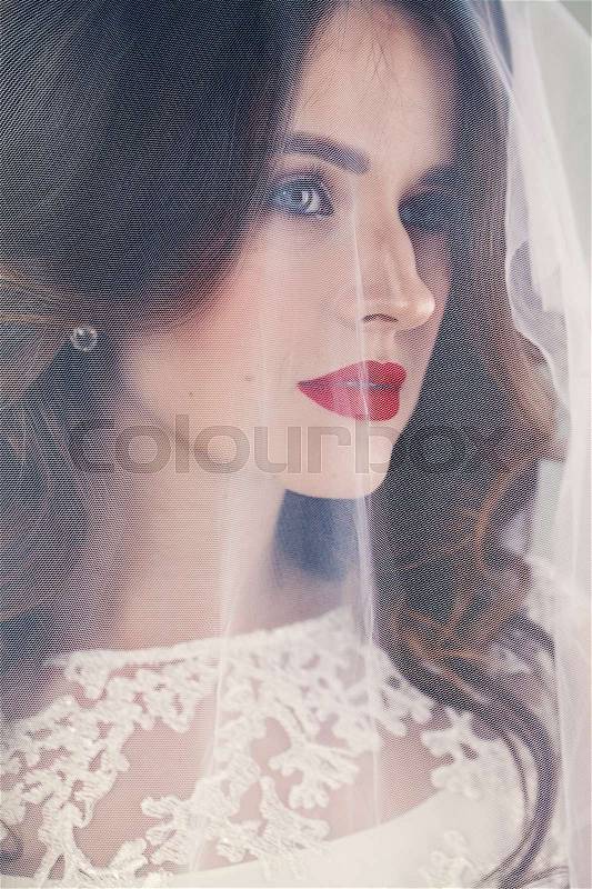 Pretty Woman Fiancee with White Veil, stock photo