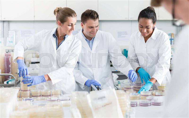 Group of scientists in food laboratory with samples in petri dishes , stock photo