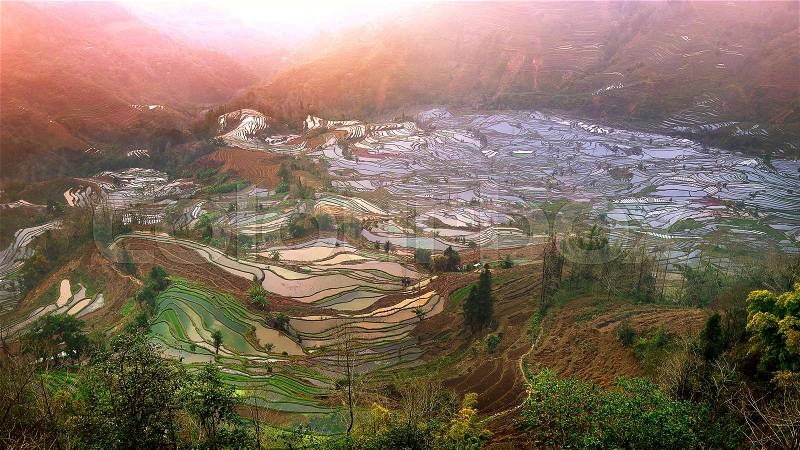 Terraced rice fields in Yuanyang, China, stock photo
