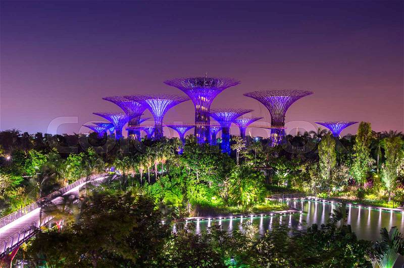 Super tree in Garden by the Bay, Singapore night Cityscape, stock photo
