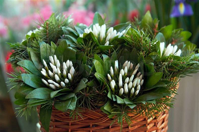 Spring holiday snowdrop flower bouquets in wicker basket, stock photo