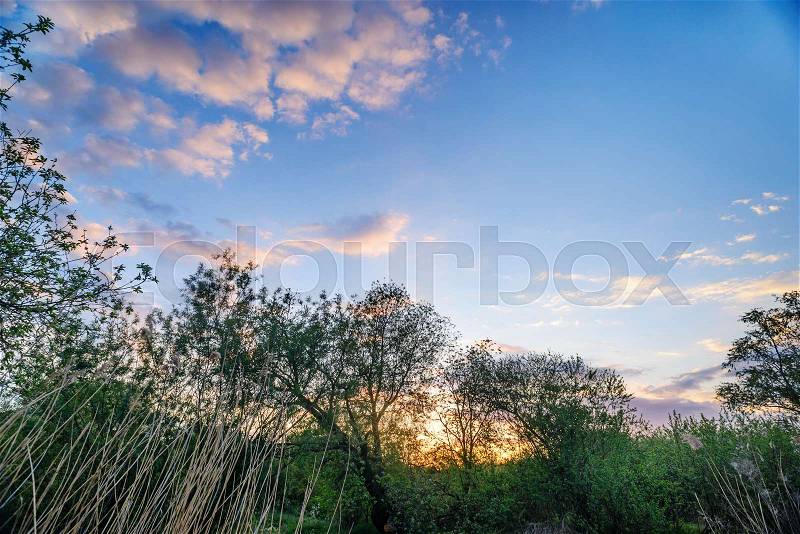 Beautiful sunset above rural lane. Square composition, stock photo