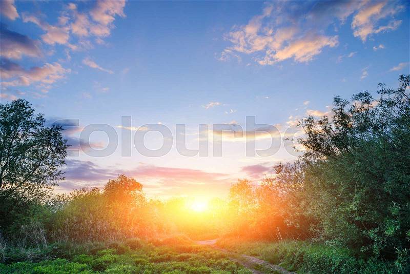 Beautiful sunset above rural lane. Square composition, stock photo