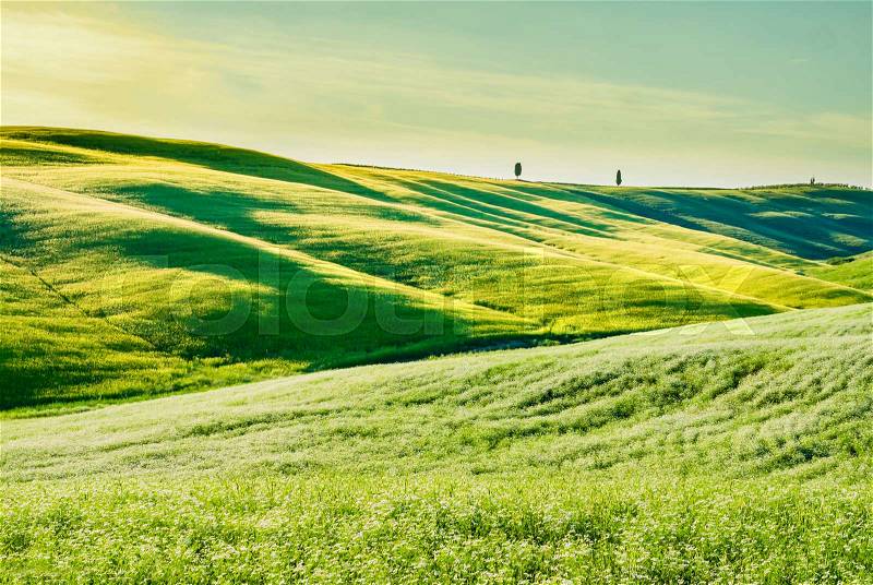 Stunning tuscan landscape, with green grass and rolling hills, stock photo