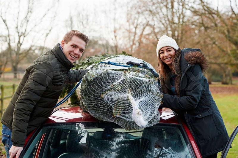 Couple tying Christmas tree to car roof look to camera, stock photo