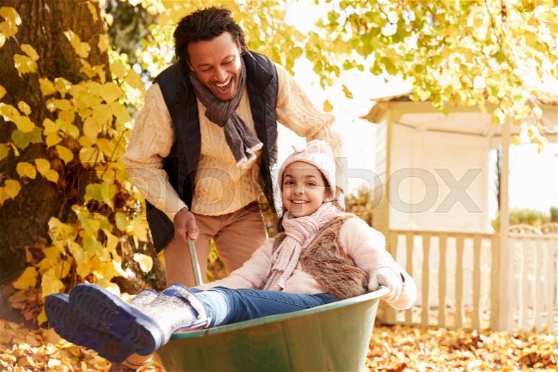 Father In Autumn Garden Gives Daughter Ride In Wheelbarrow, stock photo