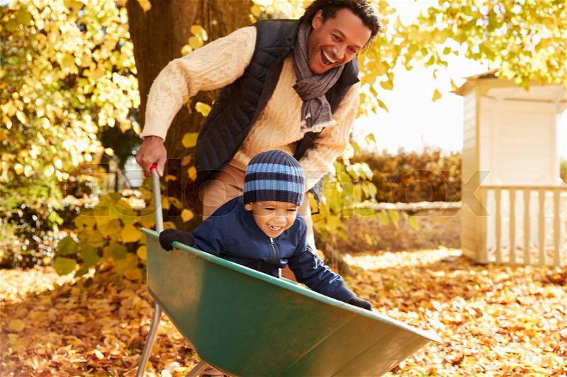 Father In Autumn Garden Gives Son Ride In Wheelbarrow, stock photo