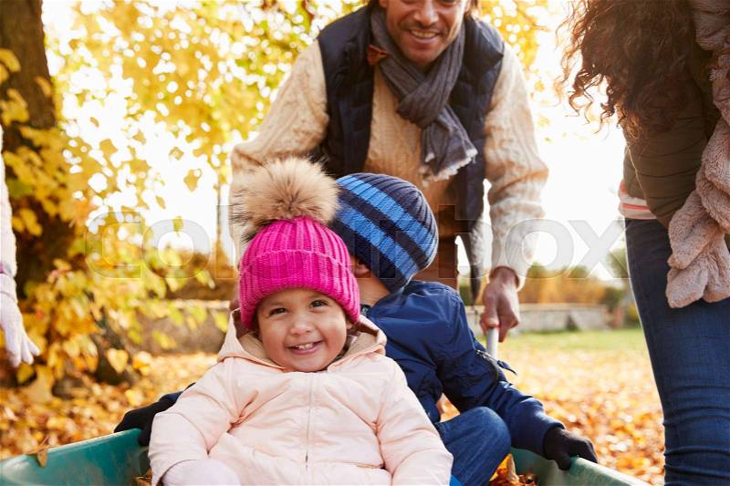 Father In Autumn Garden Gives Children Ride In Wheelbarrow, stock photo