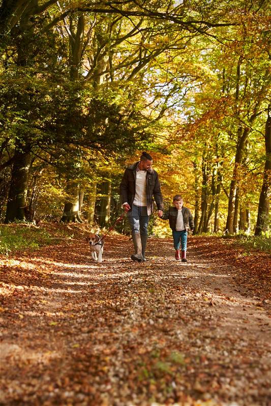 Father And Son Walking Dog In Autumn Woodland Together, stock photo
