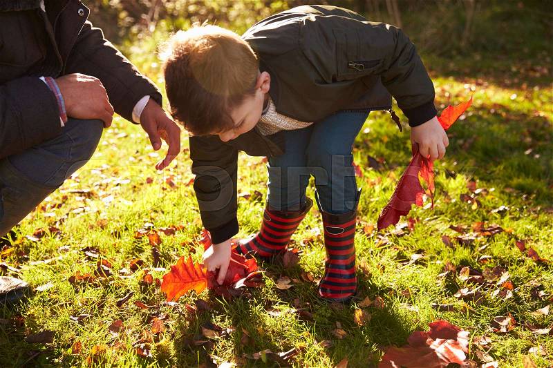 Boy And Father Playing With Autumn Leaves in Garden, stock photo
