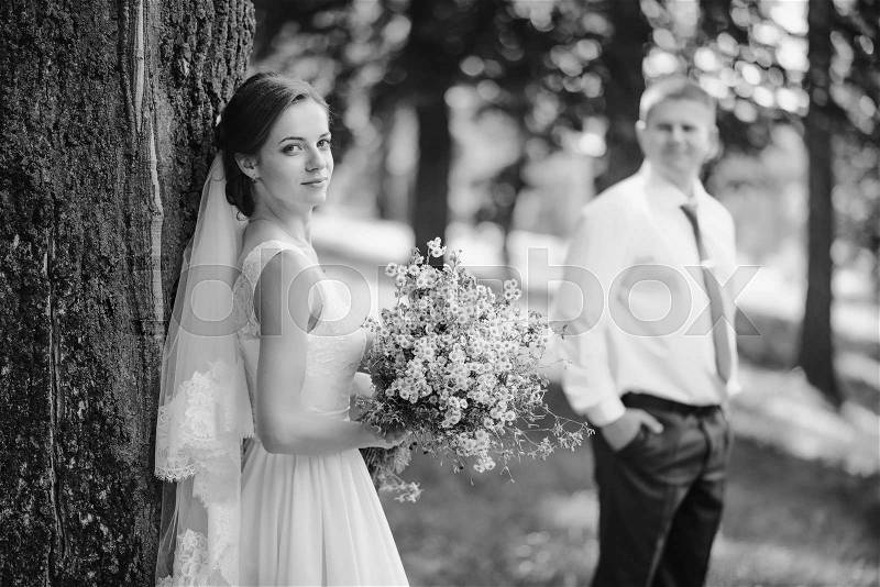 The bride and groom in the Park.A pair of newlyweds, the bride and groom at the wedding in the green forest nature kiss photo.Wedding Couple.Wedding walk. black and white, stock photo