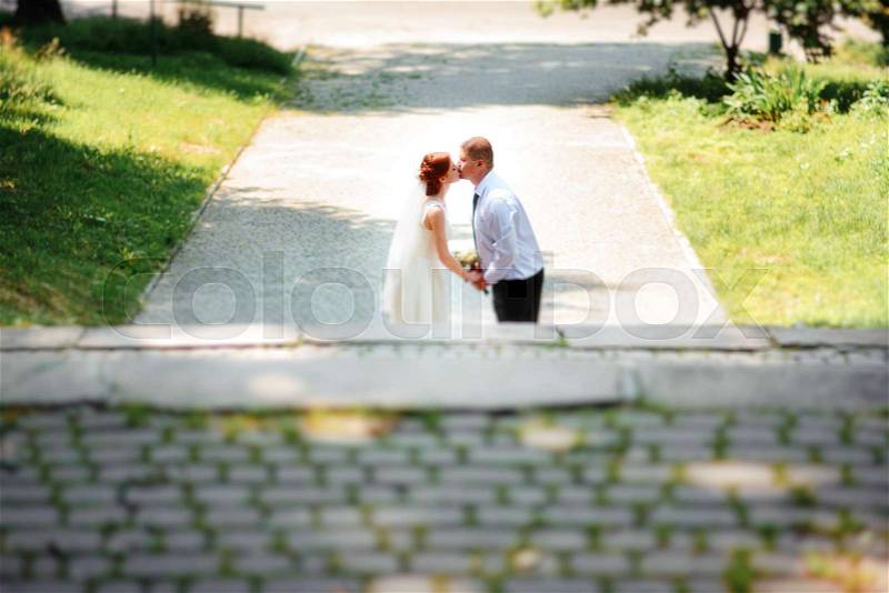 The bride and groom in the Park.A pair of newlyweds, the bride and groom at the wedding in the green forest nature kiss photo.Wedding Couple.Wedding walk, stock photo