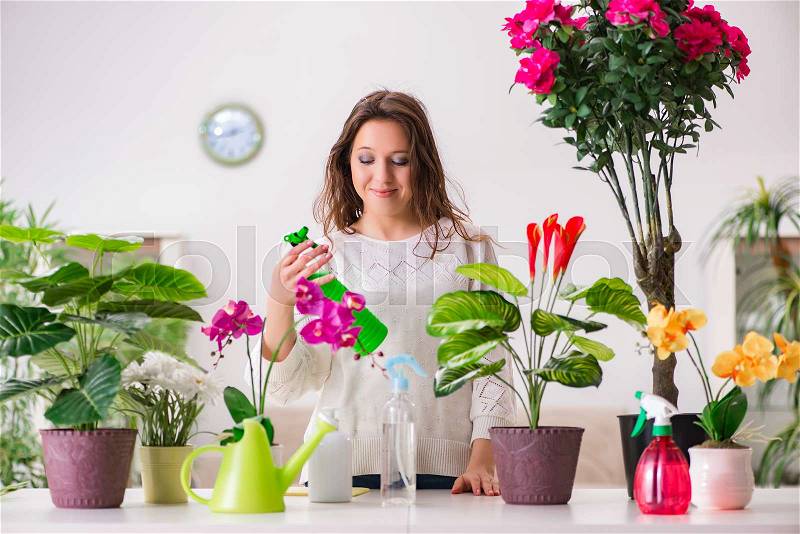 The young woman looking after plants at home, stock photo